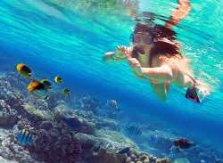 One of the most popular activities here is snorkeling. The gear is available for hire if one doesn't carry their own. It is a lovely opportunity to ex